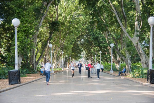 NSW Northern Event | Planning for Resilience and Regeneration